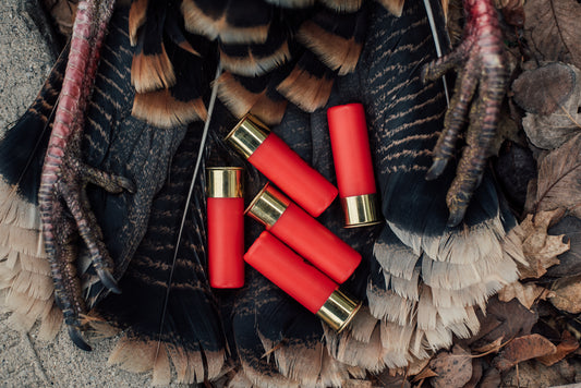 12 gauge turkey loads