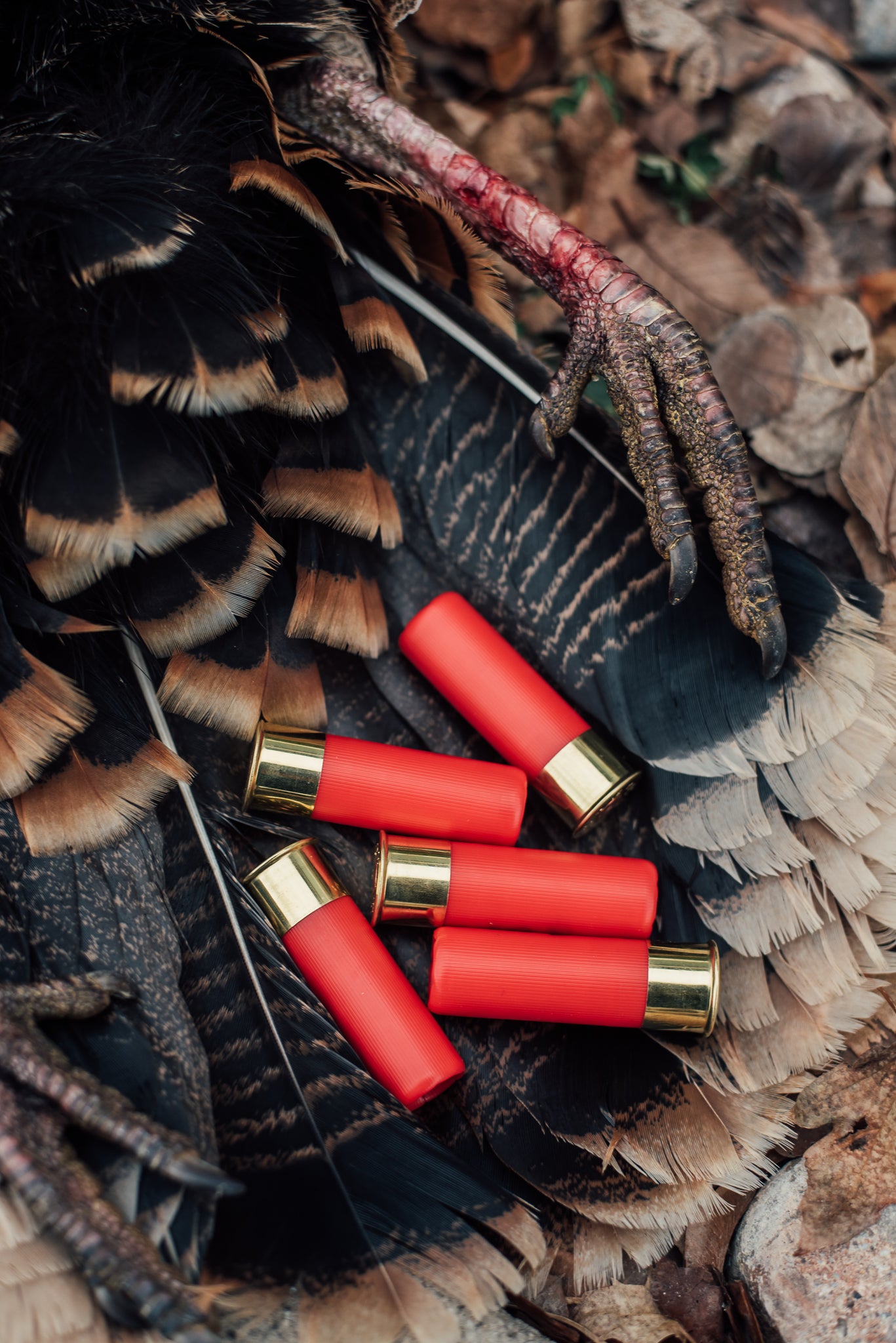 12 Gauge 3” 2 oz TSS Shotshell - 5 Round Box - Salt Creek Custom Ammunition