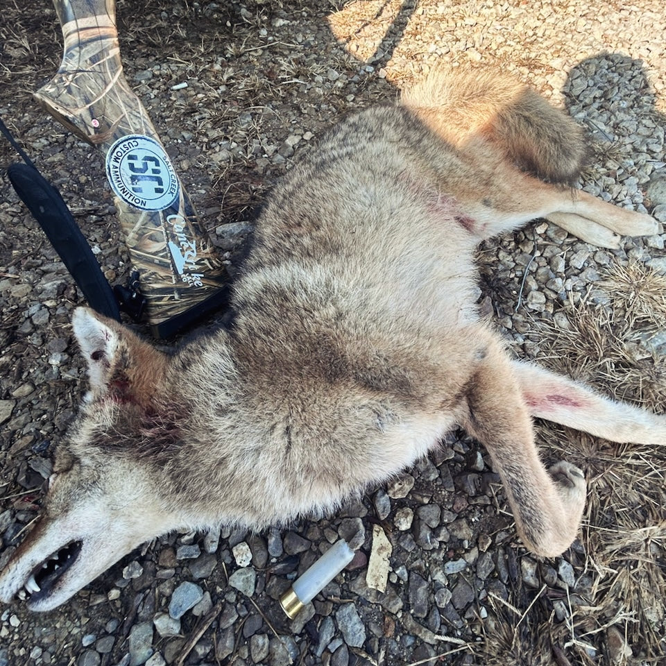 Triple Threat: Coyote, Deer, and Hog TSS