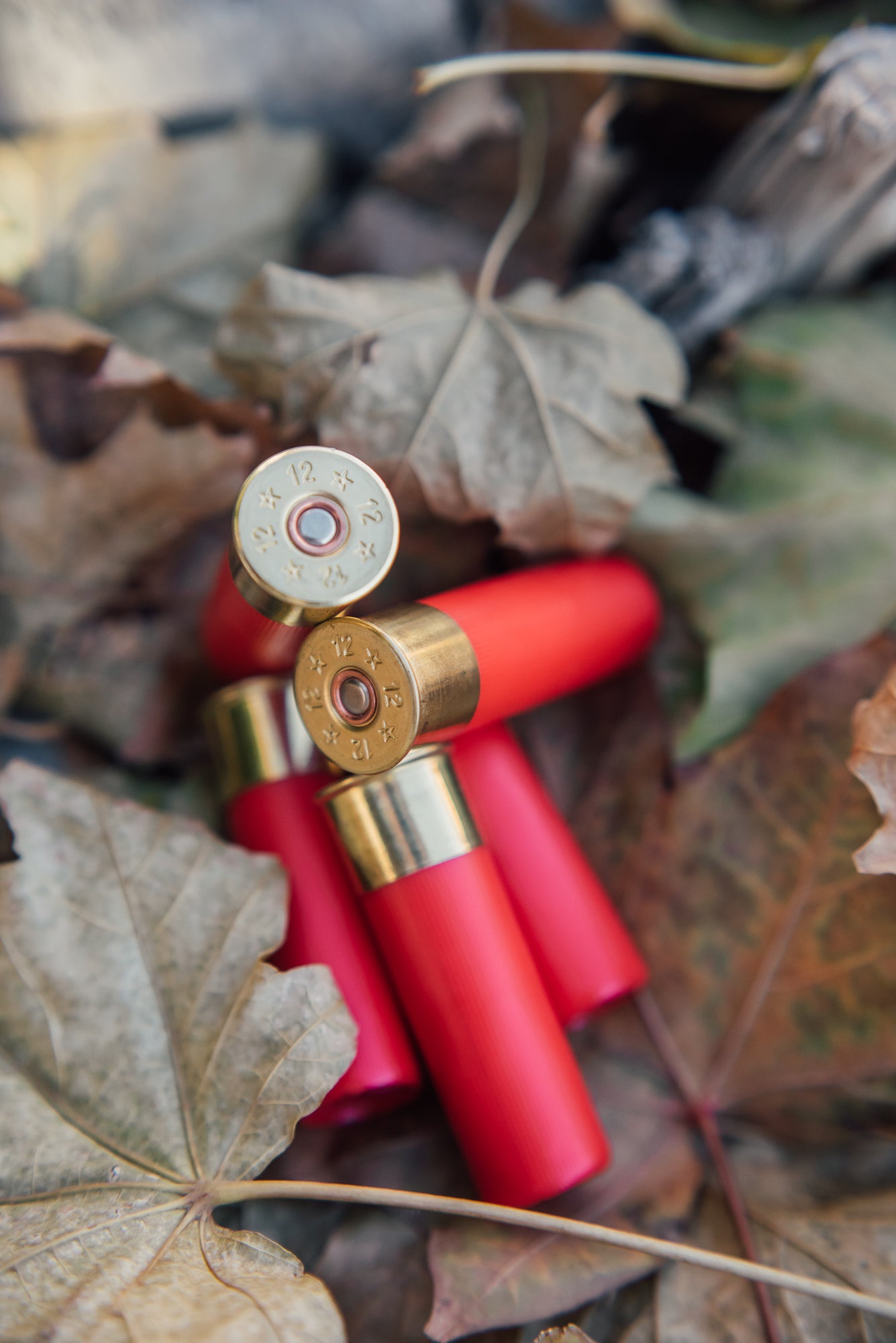 12 Gauge 3.5” 2.75oz TSS Shotshell - 5 Round Box – Salt Creek Custom ...