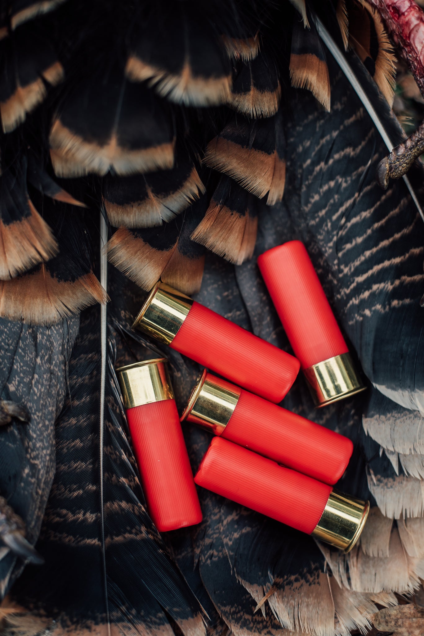 12 Gauge 3.5” 2.75oz TSS Shotshell - 5 Round Box – Salt Creek Custom ...